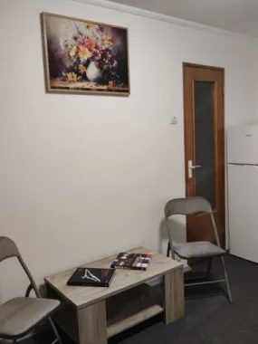 Garsonieră Moise Nicoară București