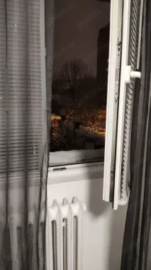 Garsonieră Moise Nicoară București