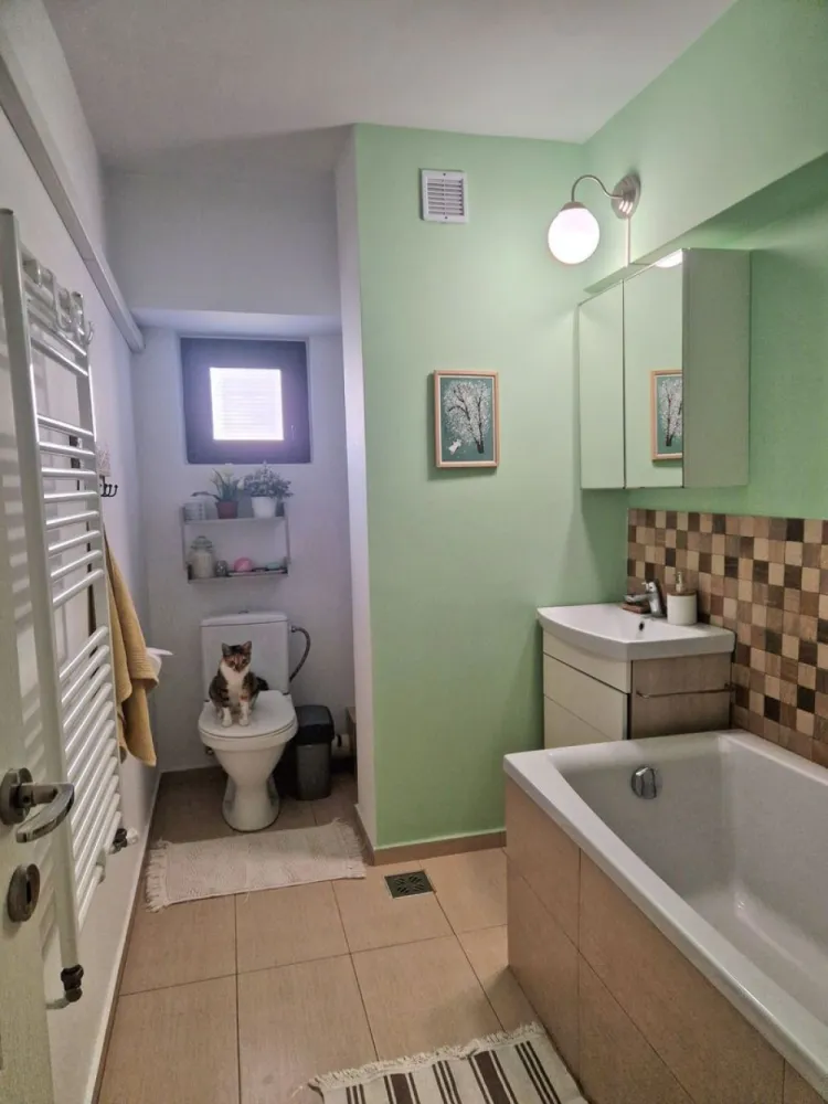 Vand apartament 3 cam D - Ultracentral - BRD Anastasie Panu