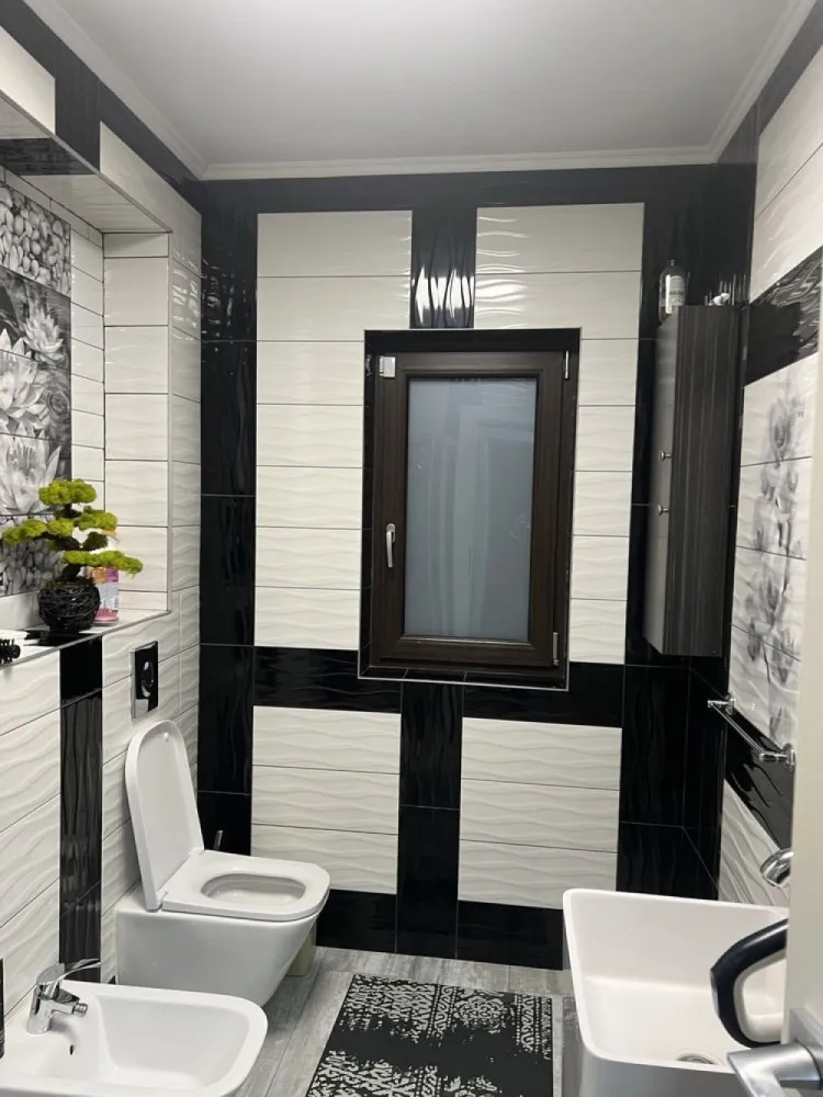 Casa Visan P+M constructie 2019