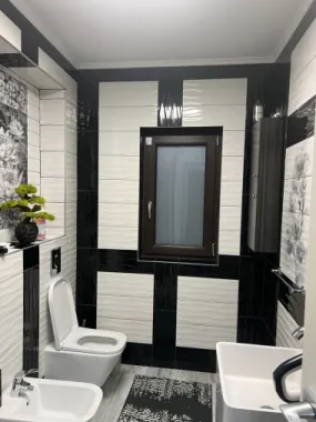 Casa Visan P+M constructie 2019