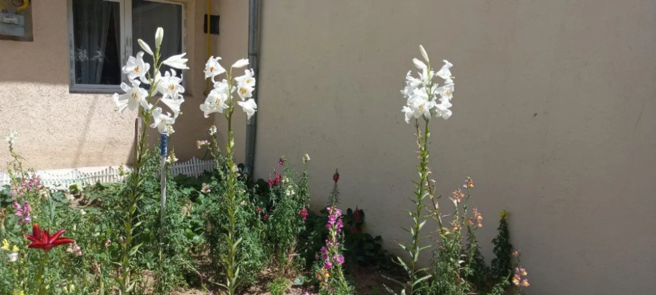 Dristor, Piata Ramnicu Sarat, casa