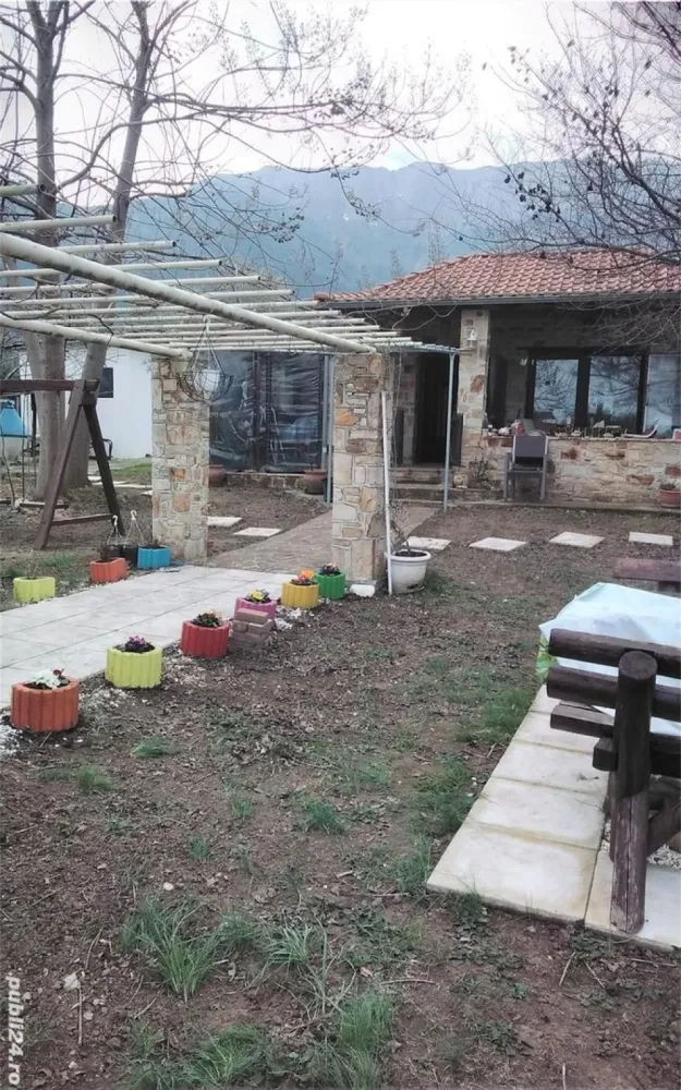 Skala Potamia Thassos-casa piatră+studio+cabană lemn,dependinte, 2500mp teren,700m până la mare.... - Casa construita din piatră ,traditionala cu 2 camere,baie,bucătărie, A C,TV,balcon, terasă,mobilata complet+ Cabana de lemn cu baie proprie,mobilata complet,A C,TV,izolata exterior si 2- Studio garsoniere, construite din caramida,baie,bucatarie,terasa,A C,TV,Mobilatecomplet 2500mp curte superba,pomi fructiferi,maslini, kiwi, lotus 700 m până la plaja