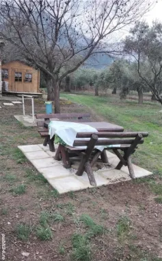 Skala Potamia Thassos-casa piatră+studio+cabană lemn,dependinte, 2500mp teren,700m până la mare....