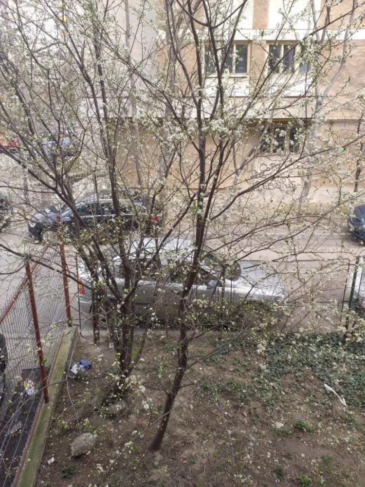 9 camere, Bd. Ferdinand, langa metrou Iancului