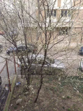 9 camere, Bd. Ferdinand, langa metrou Iancului