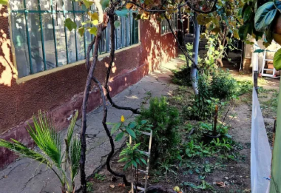 Casa cu teren Bucurestii Noi - Pod Constanta 220mp
