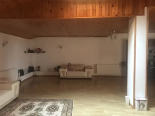 Casa Fundeni , cartierul dacic