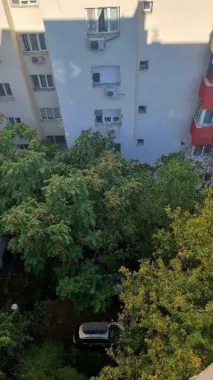 Apartament 3 camere, Clucerului