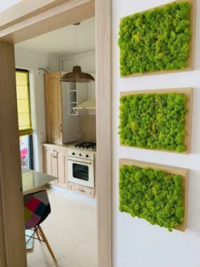 Apartament spaţios şi modern Greenfield Baneasa - 3 camere, 76 mp, parcare