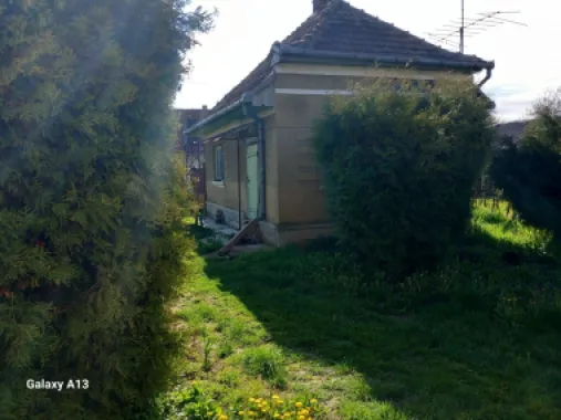 Ag EUROPA vinde casa cu 4 camere si teren de 60 ari in Ambud.