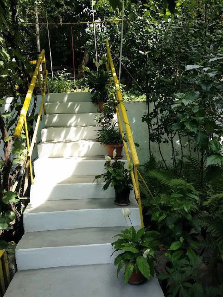 Casa, 3 dormitoare si living, de vînzare în Copou, an constr.2004 - Casă are la etaj: 3 dormitoare, 1 baie, hol si terasa ; la parter living, bucătărie, 1 baie, balcon si beci. --- In camare s-a pus parchet de calitate superioara, iar in holuri , baii si beci sa pus gresie si faianta moderna. --- In curte o magazie pentru scule și teren 500 mp.. --- Suprafata total construita 127mp. Suprafata utila 100mp. --- Anul constr. 2004. Casa se află într-o zonă foarte frumoasa și liniștită în Copou Iași, la 5 minute de Parcul Copou, unde troneaza Teiul lui Eminescu . --- In aproape sunt magazine , restaurante, grădinițe, scoli, spitale, universitate. Casa dispune de toate utilitățile: lumina, gaz, apă, internet, centrală pe gaz. Pe teren s-a plantat pomii, vie, o frumoasă pădure de brazi și o binevenită grădină de legume. Se poate construi și piscină cu apă de la fîntînă.
