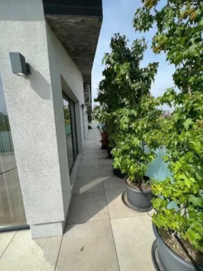 Apartament cu 3 camere in Aviatiei