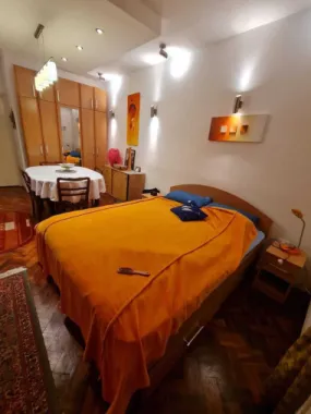 Apartament in vila zona Baicului