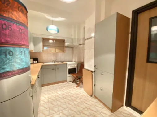 3 camere parter renovat zona Icoanei/Rosetti