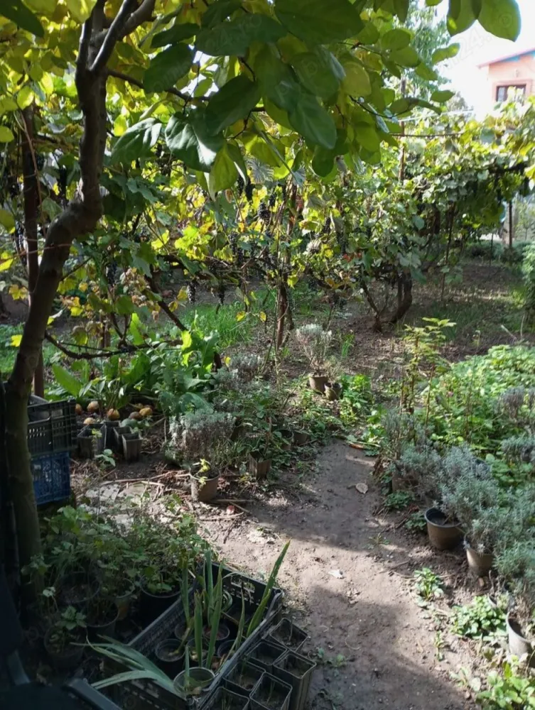Casă și teren zonă ultracentrală,560 000 euro - Vând casă și teren zonă ultracentrală, Sf Andrei 280 mp poze reale ,la prețul de 560 000 euro Mai multe detalii la telefon zero 7trei8 doi21 doi4trei. Actele sunt la zi.