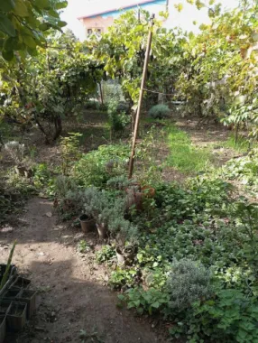 Casă și teren zonă ultracentrală,560 000 euro
