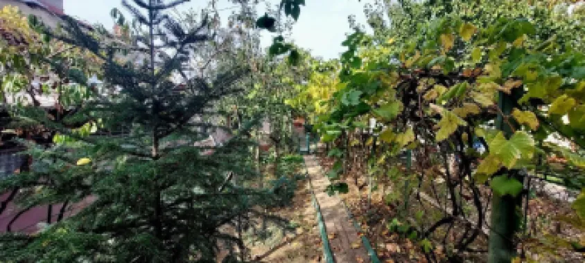 Proprietar casa individuala Bucurestii Noi-Aeromodelului- FARA AGENTII