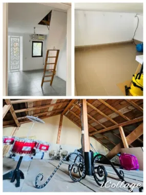 Vila Plopii fara sot, Bucium - Proprietar