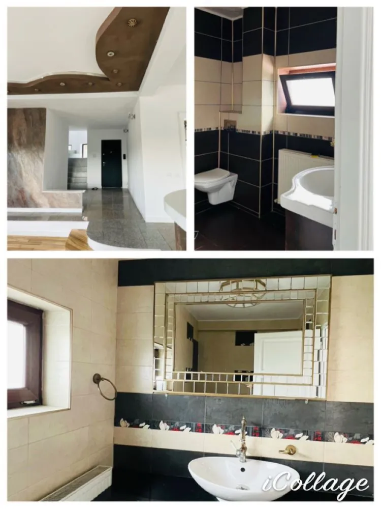 Vila Plopii fara sot, Bucium - Proprietar