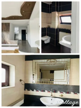 Vila Plopii fara sot, Bucium - Proprietar