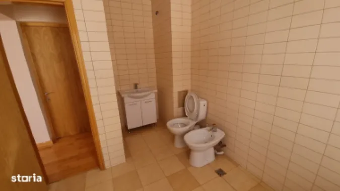 Chirie sau Vânzare - Vila Mare 3 Apartamente + Buncăr – Privat Afacere