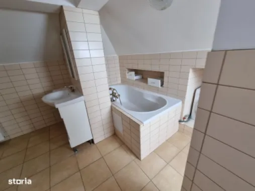 Chirie sau Vânzare - Vila Mare 3 Apartamente + Buncăr – Privat Afacere