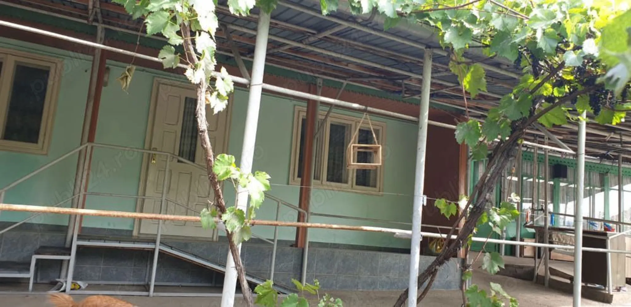 Vand casa bătrânesca - Vând casa bătrânesca în Iași cartierul Tudor Vladimirescu