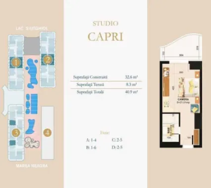 Studio tip Capri Nordis Mamaia