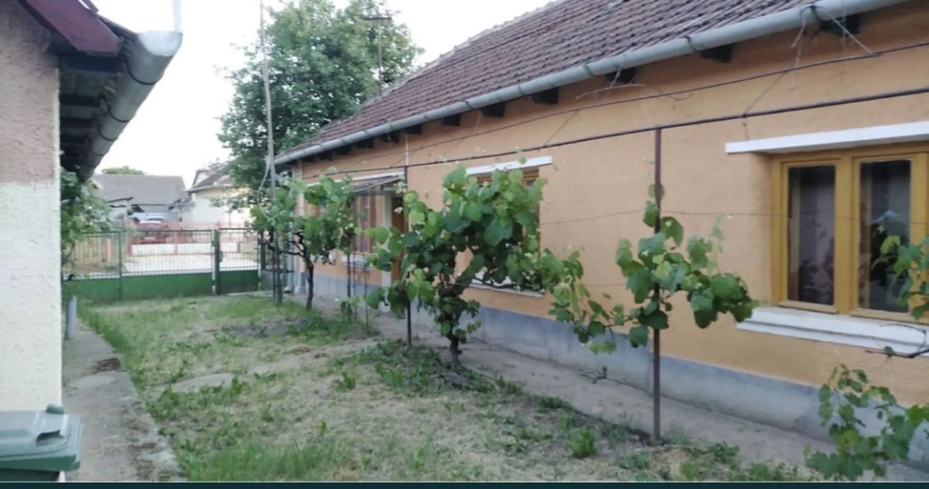 Ocazie Unica-2 Case+1 loc teren - Vând proprietate Chereușa Jud Satu mare la drumul principal cu 2 case + loc casa/ teren , Bucătărie de vara cu beci in subsol și gospodărie pentru animale . Ideal pentru o familie extinsă și / sau afacere ! Casa portocalie 2800mp Casa- 2 camere, baie , Bucătărie + Bucătărie de vara , beci , gospodărie pentru animale Casa gri 1467 mp Casa 3 camere locuibil și/ sau amenajat pentru spațiu comercial Loc casa teren 1400 mp Total 5667 mp REȚEA DE GAZ LA STRADĂ !!!! Preț 39.900 euro !!! Pentru mai multe informații va rugam se ne contactați prin WhatsApp 001-312-451-3724 Și telefon mobil : 0 ************21 Nicu 0 **********98 Giorgi