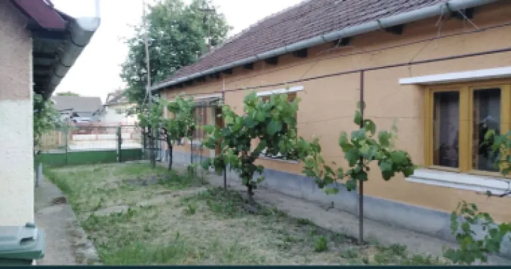 Ocazie Unica-2 Case+1 loc teren