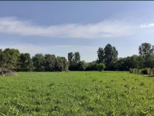 Vand casa cu gradina 4000 mp ca 12 Km de statiunea geotermala Tasnad