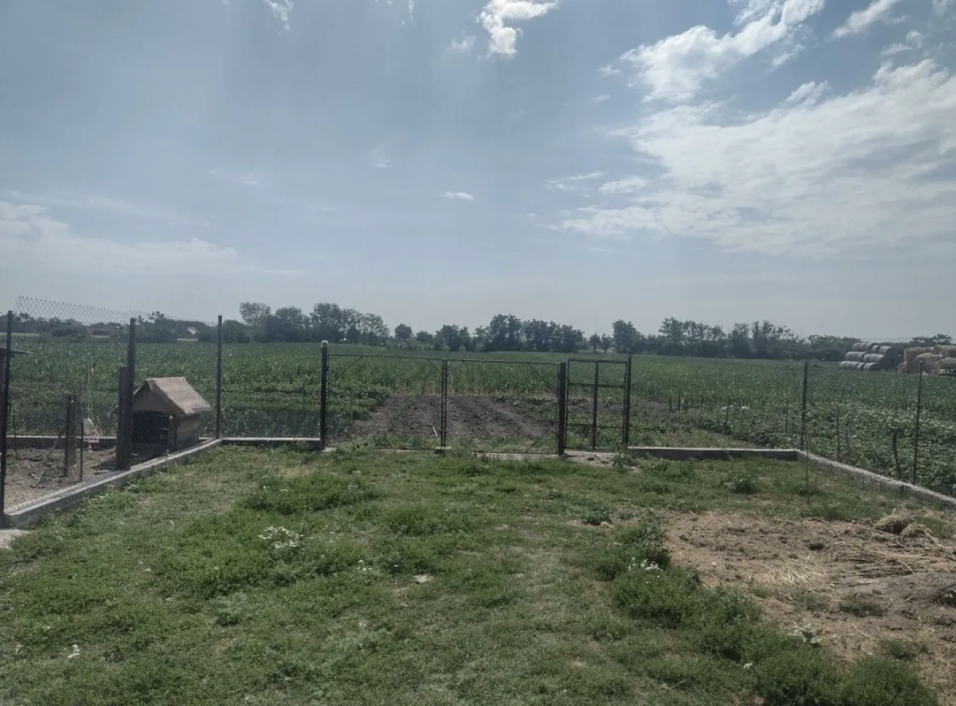 Vand urgent Casa (Boghis SM) sau schimb cu aprtament - Vând casă în sat Boghiș, Nr 27 comuna Doba sau schimb cu apartament in Satu Mare, strada principală șosea modernă reabilitată. Suprafața reprezentând in natură teren intravilan, în suprafață de 3526 mp, din care 830 mp categoria de folosință a curți construcții ( având front de 18 m ) și 2696 mp categoria de folosință arabil . Casa de locuit are suprafața construită la sol de 137 mp fiind compusă din: - 2 camere( 1 camera necesita renovată) - 2 holuri - 1 camera de baie( necesită finisată ) - 1 bucătărie ( necesită renovată ) Casa este construită din hoioagă , pereții având grosimea de 50 cm. Pt mai multe detalii contactați telefonic! 07******61