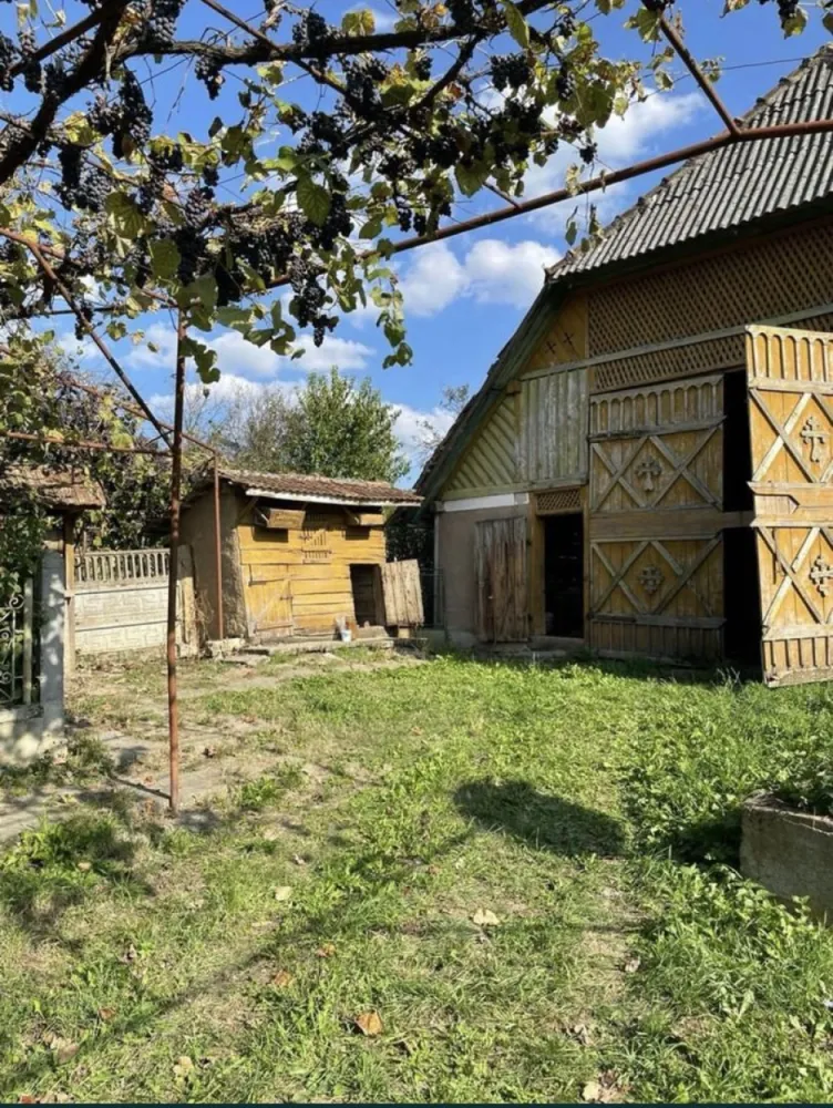 Vand casa la tara