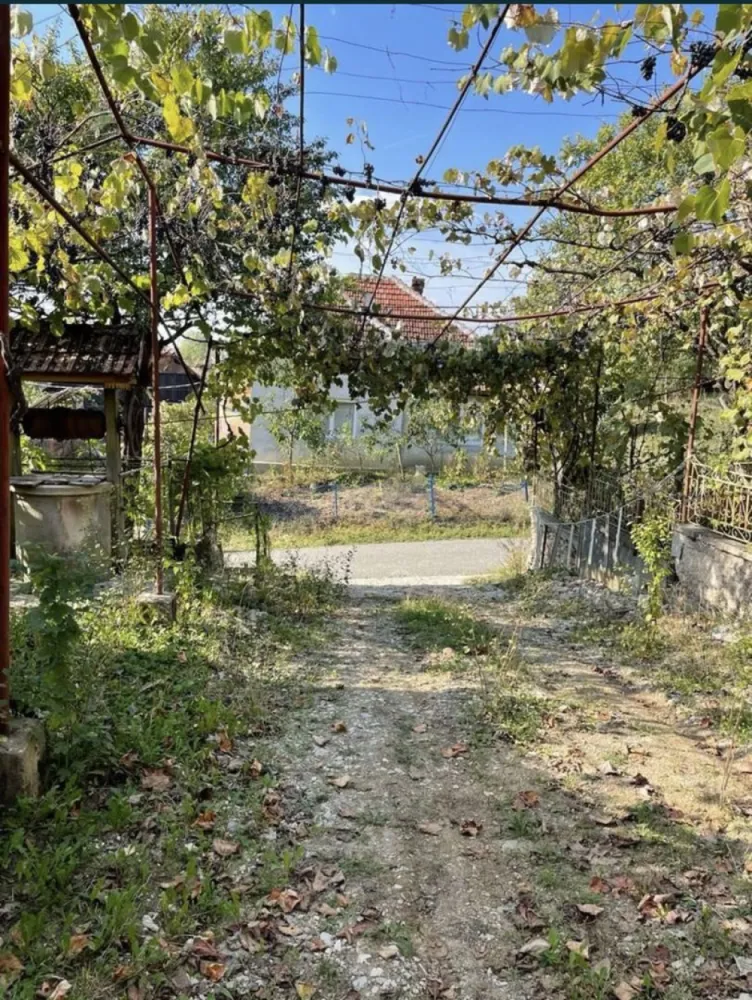 Vand casa la tara