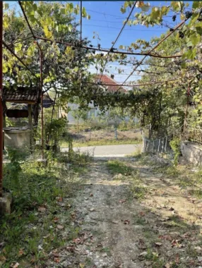 Vand casa la tara