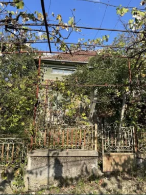 Vand casa la tara