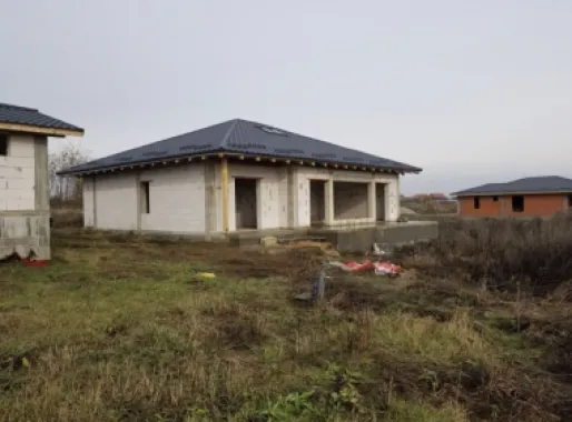 Vand casa cu mandarda in Vetis!