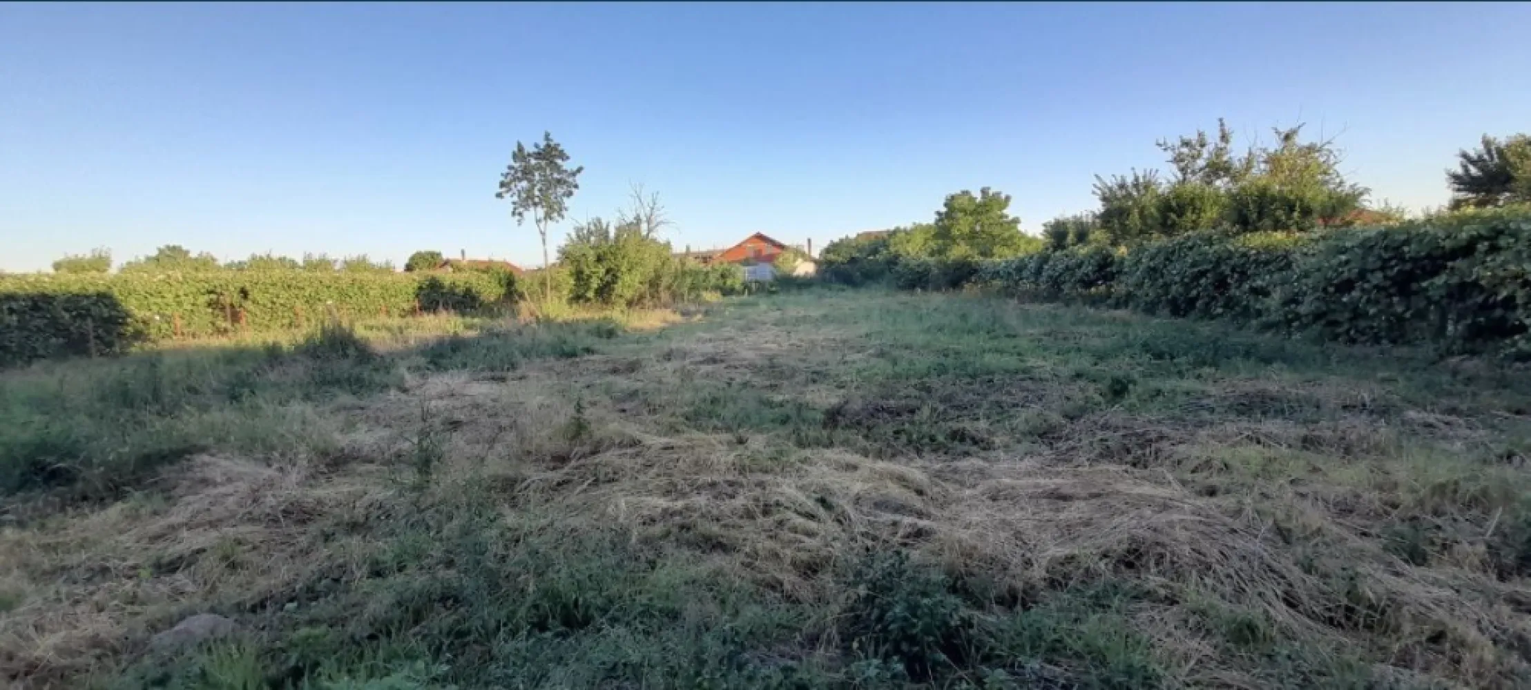 Casa de vanzare - Vând casa îl comuna Lazuri,terenul are 27,40 arii,casa este parter+etaj în total sunt 416,24 mp ,casa are un volum de 561,92mp.în casa sunt făcute instalațiile sanitare și incalzire cu calorifere prețul este 97.000 euro negociabil. Pentru mai multe detalii contactați ma telefonic 0742268381