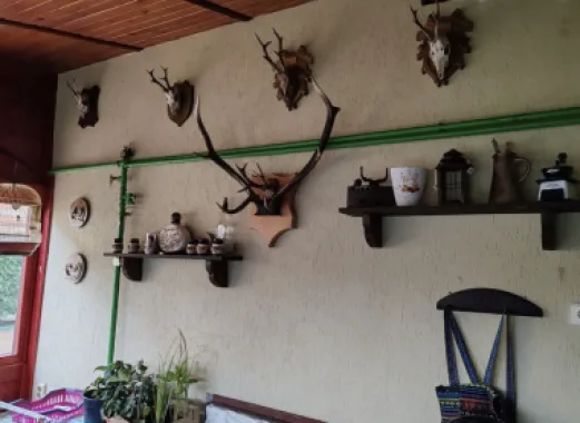 Casa in Paulesti