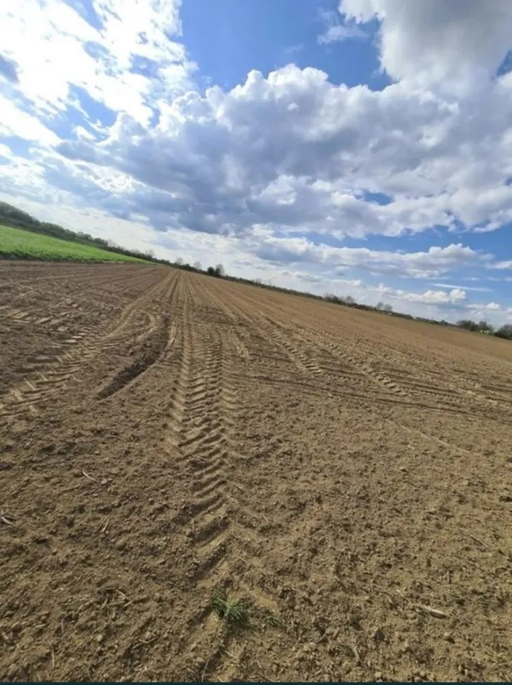 Vand teren extravilan in Martinesti - De vănzare teren extravilan in Localitatea Mărtinești! Suprafața locului este de 50 de ari! Prețul terenului este de 490 de euro/arie,prețul este ușor negociabil!