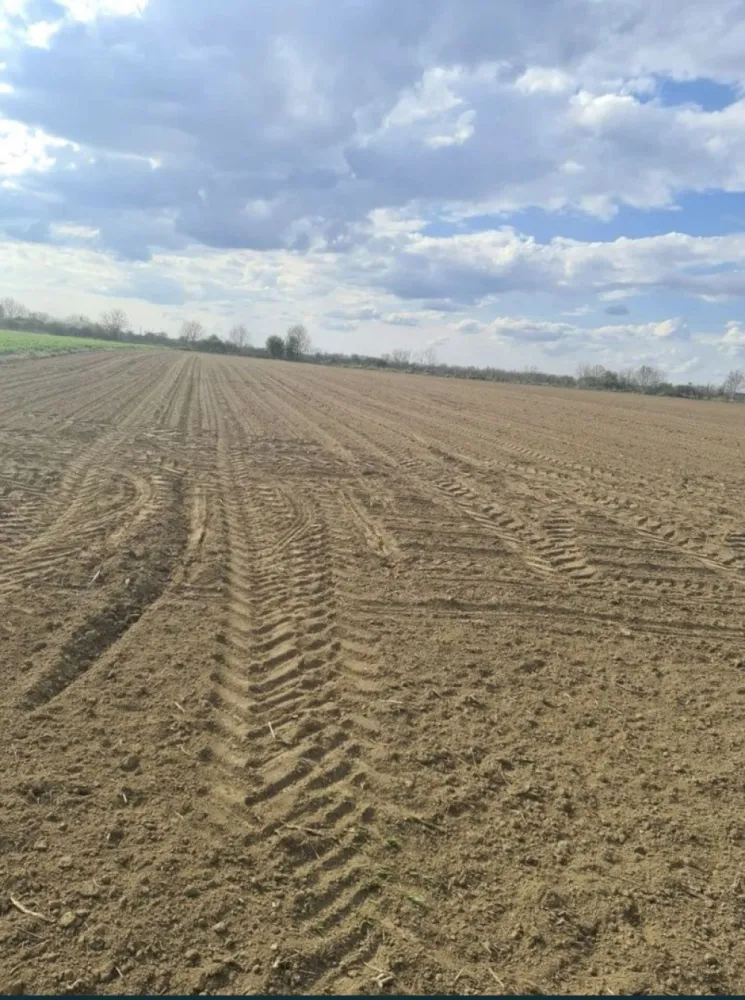 Vand teren extravilan in Martinesti - De vănzare teren extravilan in Localitatea Mărtinești! Suprafața locului este de 50 de ari! Prețul terenului este de 490 de euro/arie,prețul este ușor negociabil!