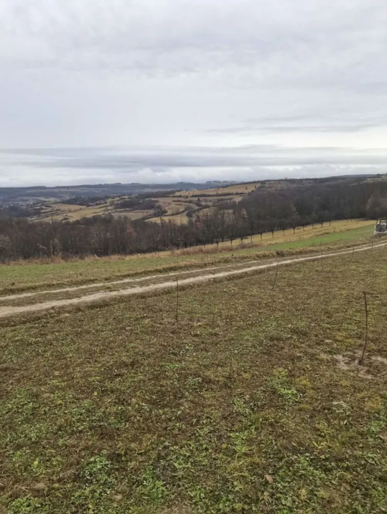 Teren cu o priveliste superba langa padure - Teren cu o priveliste superba chiar lângă pădure. Este cel mai frumos din acea zona. Are drum de acces și curentul la 15 m distanta,se afla la 100 m de asfalt având drum pietruit pe acea distanta. Terenul este extravilan dar se poate trece și în intravilan. Terenul se afla la ieșirea din Barsau de Jos înspre Poiana Codrului la limita satelor pe vârf de culme. Terenul are sup de 35 ari pe teren este lăsat în partea de la strada loc de cabana sau casa, pe teren sunt plantați 108 pomi fructifer 3 rânduri jumate de meri si unul de peri de diferite soiuri, sunt anul 3 de la plantare. Iar pe partea de jos pe o parcela de 12 ari, adică 39 buc sunt plantati nuci Geoagiu 65 find primul an de la plantare. Pozele sunt mai vechi neavând la publicarea anunțului altele. Terenul nu este intabulat momentan dar se poate intabula fără probleme la cerere sau îl intabula noul proprietar. Momentan este împrejmuit cu gard electric cu 4 fire. Este un loc ideal de o cabana sau o mica pensiune sau alte proiecte. Prețul este discutabil la fata locului. Mai multe detalii la tel. Dacă nu am semnal trimiteți un sms și va resun eu.