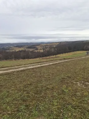 Teren cu o priveliste superba langa padure
