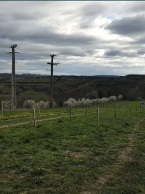Teren cu o priveliste superba langa padure