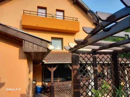 BRASADAS vinde casa individuala 4 cam teren 355mp Botizului