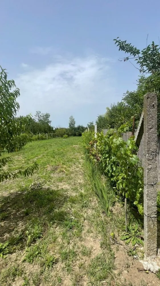 Vând teren intravilan, Str Dealului 64 - 936 mp,front stradal 13.4 m - Vând teren intravilan (împrejmuit) în suprafață de 936 mp,front stradal 13,40 m. Terenul este situat in Satu Mare str Dealului nr 64 . Pretabil construcții case,hale industriale s-au utilizabil ptr agricultura (pământ fertil).Utilități;apă puț forat, curent la stradă. Gaz , canalizare în apropiere (100 m).Preț 36000 Euro. Inf telefon 07******47