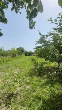 Vând teren intravilan, Str Dealului 64 - 936 mp,front stradal 13.4 m