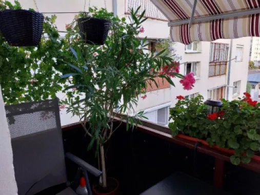 Apartament 3 camere cu garaj autorizat și beci