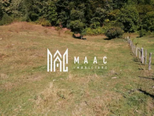 Teren Extravilan 20.000Mp I Stoenești -Vâlcea I Apă Curentă și Pădure